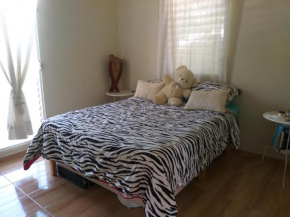 Private Exotic Room with Roof Top Terrace Access